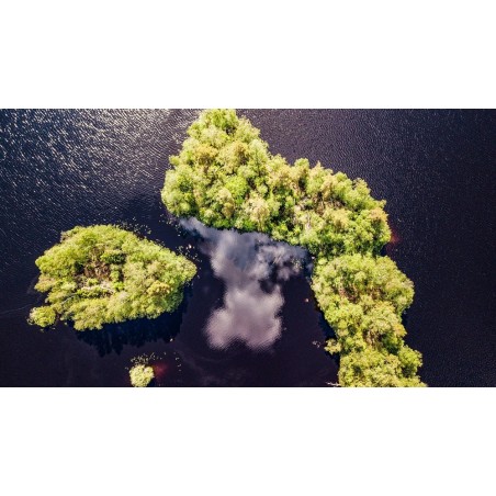 Foto und Video Grundlagenschulung