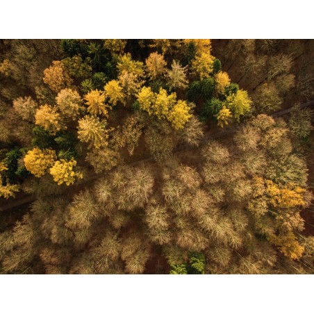 Foto und Video Grundlagenschulung