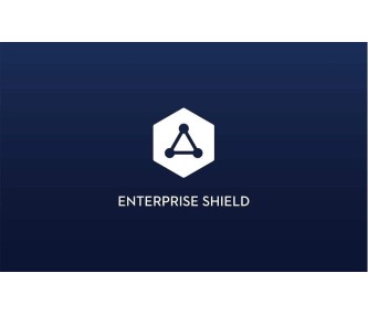 DJI Mavic 2 Shield Basic 1st Replacement