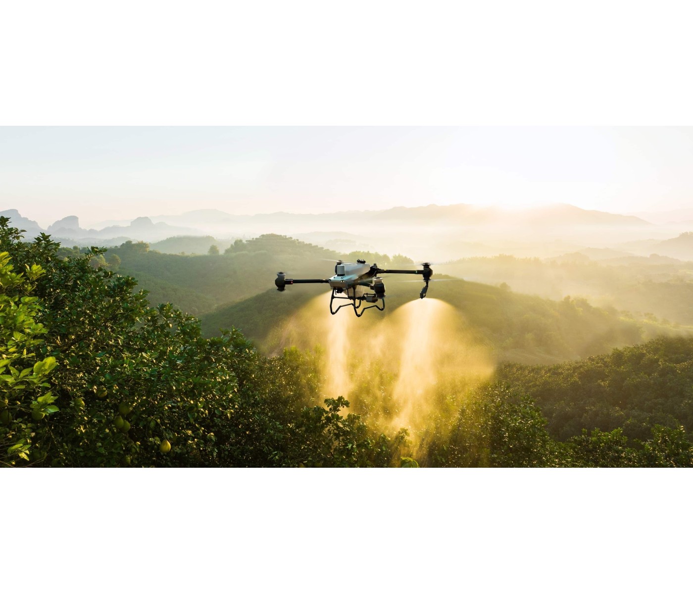 DJI T50 Agras (Oversea V2) DJI T50 Agras (Oversea V2)