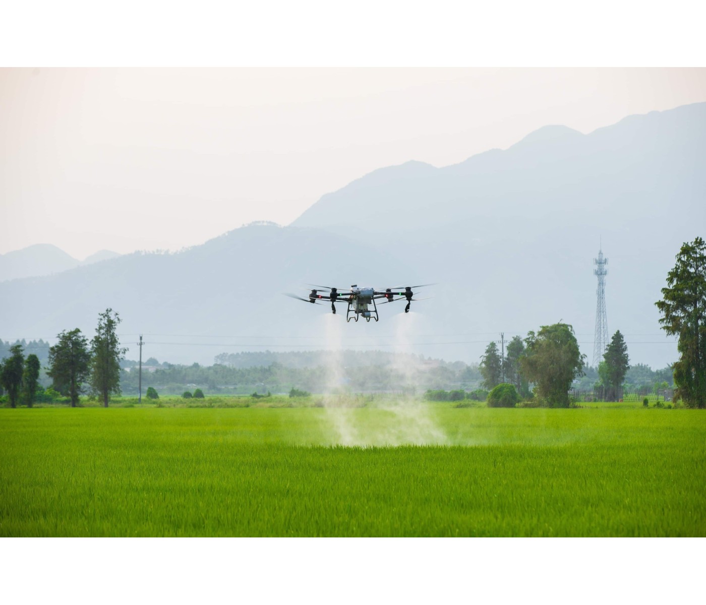 DJI T50 Agras (Oversea V2) DJI T50 Agras (Oversea V2)