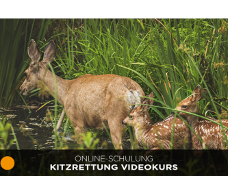 Kitzrettung Videokurs